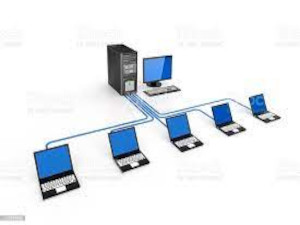 Network, Cables & Adapters
